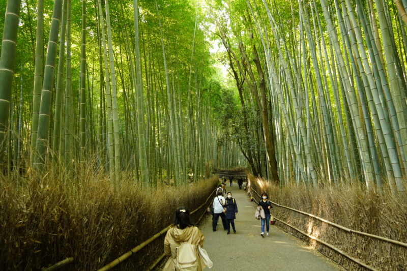 京都　嵐山